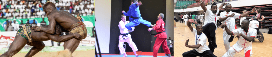Various athletes in martial arts fights and demonstrations